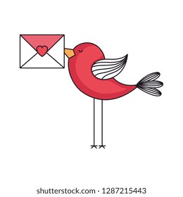 love card with cute bird with envelope