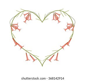 Love Concept, Brunch of Red Firecracker Flowers or Russelia Equisetiformis Flowers Forming in Heart Shape Isolated on White Background.