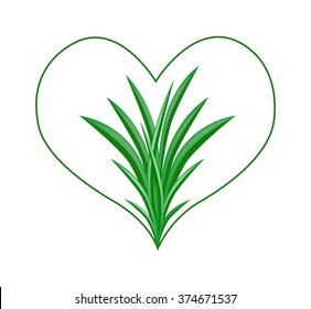 Love Concept, Illustration of Bunch of Fresh Green Pandan Plants in A Beautiful Heart Shape Isolated on White Background.