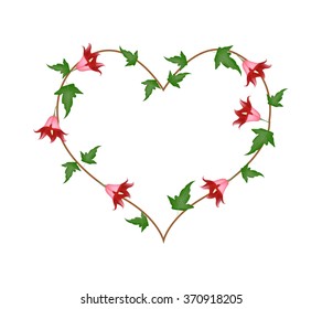 Love Concept, Illustration of Canarina Canariensis Flower or Canarian Bellflowers Forming in Heart Shape Isolated on White Background.