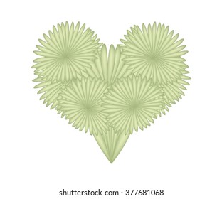 Love Concept, Illustration of Dragon Tree Leaves Forming in Heart Shape Isolated on White Background.