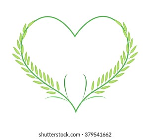 Love Concept, Illustration of Green Rice Crop or Cereal Plants Forming in Heart Shape Isolated on White Background.
