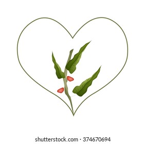 Love Concept, Illustration of Heart Shape with Branch of Pistachio Trees Isolated on White Background.