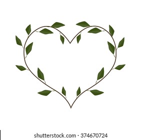 Love Concept, Illustration of A Heart Shape Frame Made of Evergreen Leaves Isolated on White Background.
