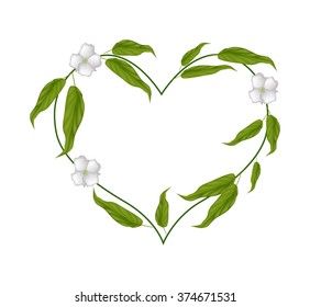 Love Concept, Illustration of Heart Shape with Chebulic Myrobalan with Leaves and Blossoms Isolated on White Background.