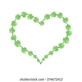 Love Concept, Illustration of A Heart Shape Frame Made of Fresh Green Vine Leaves Isolated on White Background.