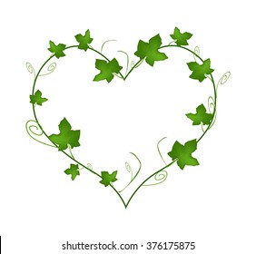 Love Concept, Illustration of Heart Shape Frame Made of Fresh Green Vine Ivy Leaves Isolated on A White Background. - Powered by Shutterstock - Get 15% off with code: PIKWIZARD15