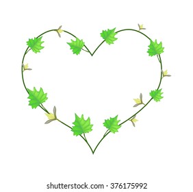 Love Concept, Illustration of Heart Shape Frame Made of Fresh Green Vine Leaves and Yellow Blossoms Isolated on A White Background.