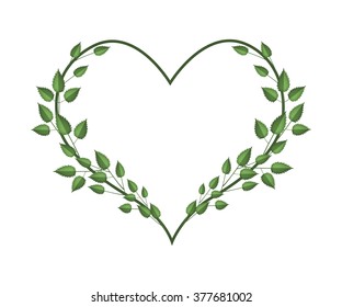 Love Concept, Illustration of Heart Shape Frame Made of Green Vine Leaves Isolated on White Background.