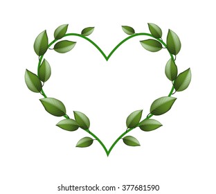Love Concept, Illustration of Heart Shape Made of Green Vine Leaves Isolated on White Background.