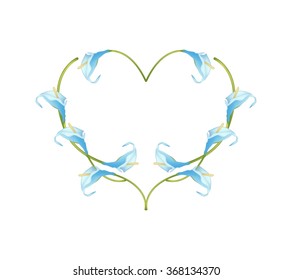 Love Concept, Illustration of Light Blue Anthurium Flowers or Flamingo Flowers Forming in Heart Shape Isolated on White Background.