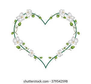 Love Concept, Illustration of Moon Orchid or Phalaenopsis Amabilis Forming in Heart Shape Isolated on White Background.