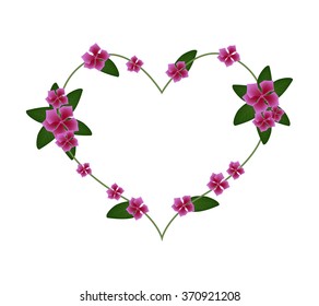 Love Concept, Illustration of Pink Cape Periwinkle, Bringht Eye, Indian Periwinkle, or Madagascar Periwinkle Flowers Forming in Heart Shape Isolated on White Background.