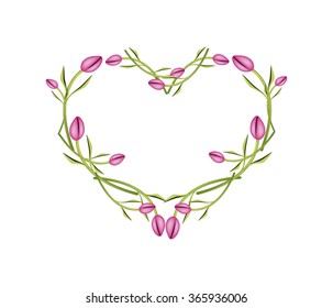 Love Concept, Illustration of Pink Tulips Forming in Heart Shape Isolated on White Background.