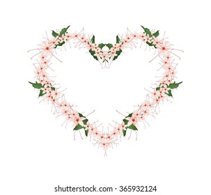 Love Concept, Illustration of Red Clerodendrum Paniculatum Flowers or Pagoda Flowers Forming in Heart Shape Frame Isolated on White Background.