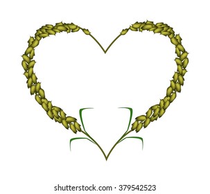 Love Concept, Illustration of Ripe Green Millets Forming in Heart Shape Isolated on White Background.