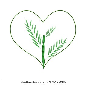 Love Concept, Illustration of Small Bamboo Tree in A Heart Shape Frame Isolated on White Background.