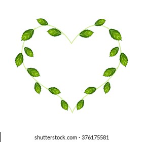 14,248 Holy basil leaves Images, Stock Photos & Vectors | Shutterstock