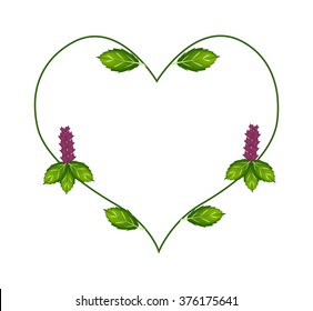 Love Concept, Illustration of Thai Basil Leaves and Blossoms Forming in Heart Shape Isolated on White Background.