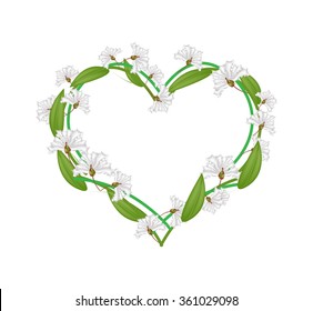 Love Concept, Illustration of White Crape Myrtle Flowers or Lagerstroemia Indica Flowers Forming in Heart Shape Isolated on White Background.