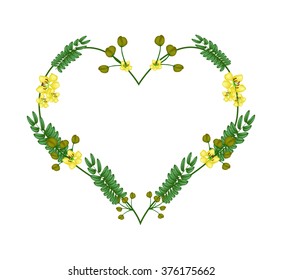 Love Concept, Illustration of Yellow Cassod Flowers and Green Leaves Forming in Heart Shape Isolated on White Background.