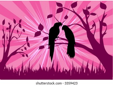 love couple birds