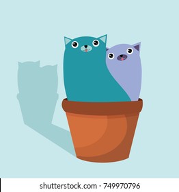 love couple cat
