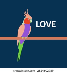 Love couple parrots. Vector illustration of a couple of love parrots.