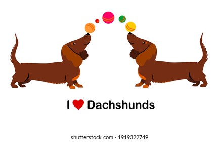 I love Dachshunds. Dachshund dog isolated on white. Single icon in cartoon style. A small brown short-haired hunting dog of the Dachshund breed. Horizontal banner. Vector Illustration