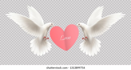 Love design concept with two white pigeons holding heart in its beak on transparent background realistic vector illustration