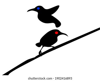 Liebe und Unterschied. zwei Vögel gehen zusammen, die Weibchen fliegen vom männlichen Vogel weg, weil es einen Unterschied in der Augenfarbe gibt, obwohl ihre Liebe weiß und heilig ist