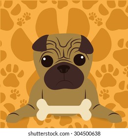 Pet´s love digital design, vector illustration 10 eps graphic