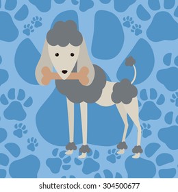 Pet´s love digital design, vector illustration 10 eps graphic