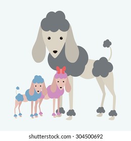 Pet´s love digital design, vector illustration 10 eps graphic