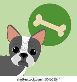 PetÃ?Â´s love digital design, vector illustration 10 eps graphic