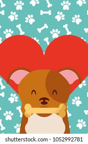 love dog pet