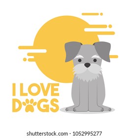 love dog pet