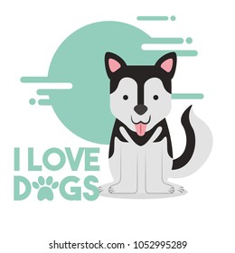 love dog pet