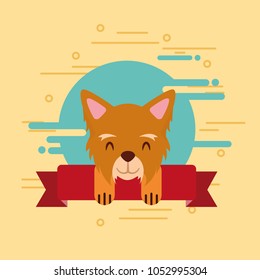 love dog pet