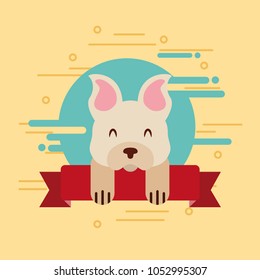 love dog pet