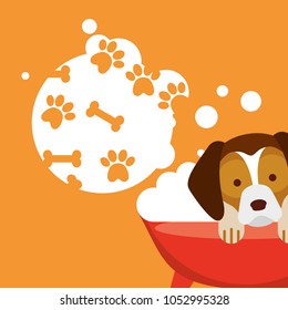 love dog pet