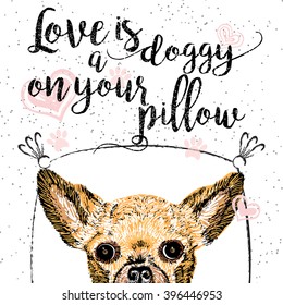 Love is a doggy on your pillow, love quote about dogs. Vector outstanding lettering, calligraphy, motivational typography card. Cute, friendly, smiling, inspirational puppy with hearts and sparkle.
