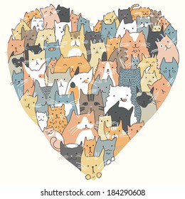 Love for Domestic Cats