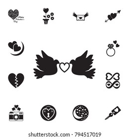 love doves keep heart icon. Set of Valentine's Day elements icon. Photo camera quality graphic design collection icons for websites, web design, mobile app on white background
