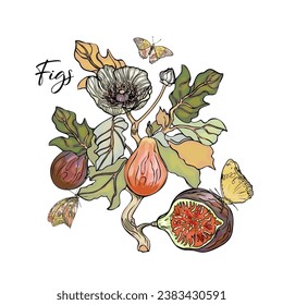 I love figs. Vector illustration of a fig. A  figs of wild berries. Print logo blank for the designer