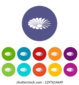 Love flower icons color set vector for any web design on white background