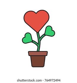 Love flower in pot