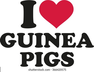 I love guinea pigs