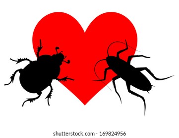 Love insect