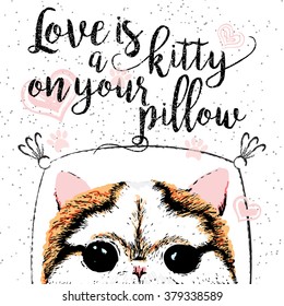 Love is a kitty on your pillow, love quote about pets. Vector outstanding lettering, calligraphy, motivational typography post card. Cute, friendly, smiling, inspirational cat with hearts and sparkle.